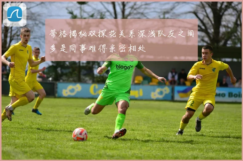 蒂格揭秘双探花关系深浅队友之间多是同事难得亲密相处