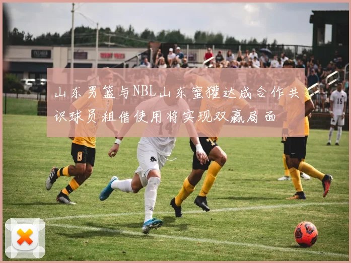 山东男篮与NBL山东蜜獾达成合作共识球员租借使用将实现双赢局面