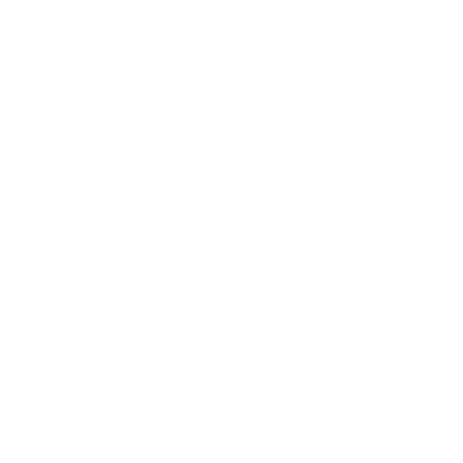 graziela_fioreze_v2_logo_aliexpress